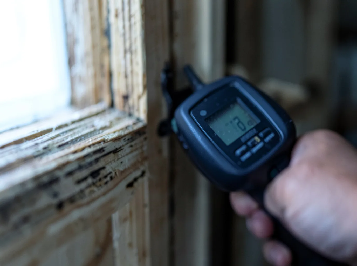 Moisture Inspection And Documentation in Duck, WV